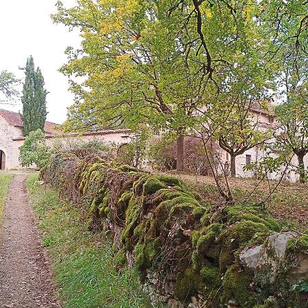 Les Granges De L Abbaye Bed and Breakfast Ginals Buitenkant foto