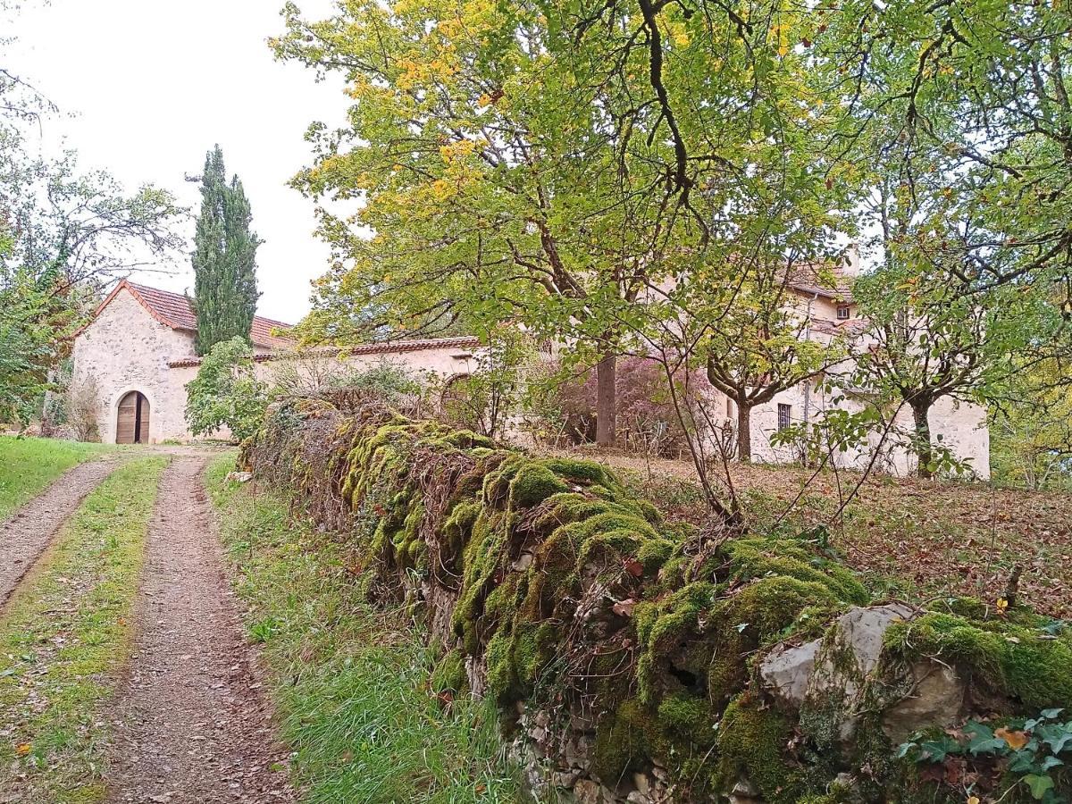 Les Granges De L Abbaye Bed and Breakfast Ginals Buitenkant foto