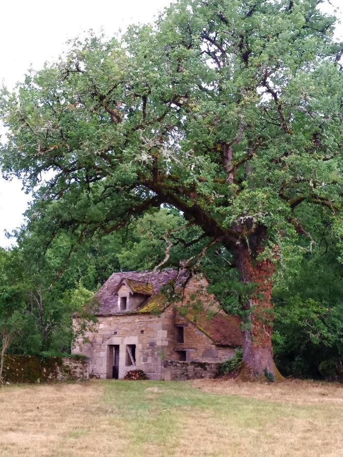Les Granges De L Abbaye Bed and Breakfast Ginals Buitenkant foto